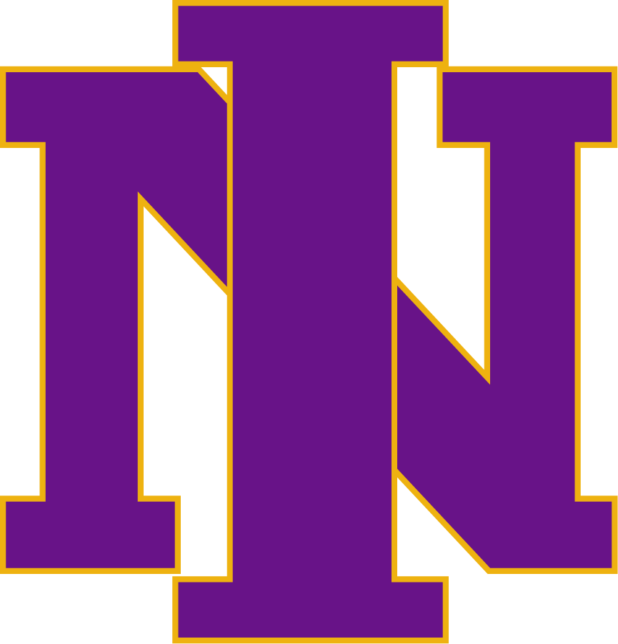 Northern Iowa Panthers 2000-2001 Primary Logo iron on transfers for T-shirts